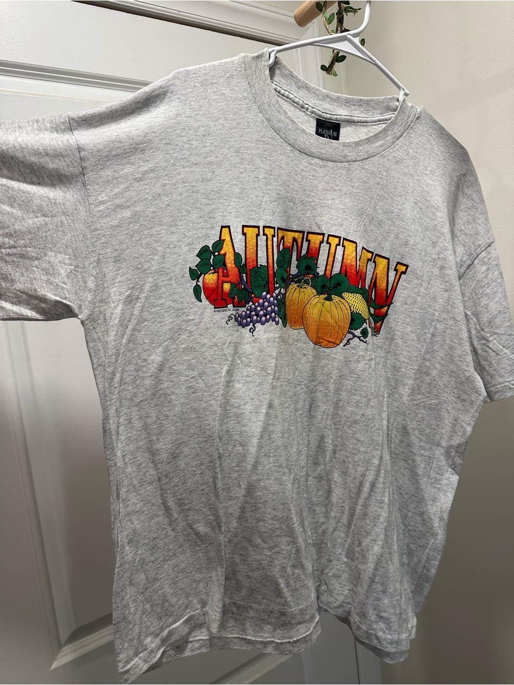 Vintage-Inspired Autumn Graphic Tee - Light Gray